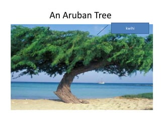 The Sign consists of a signifier and the signified:The sign consists of :a signifier (refers to the material aspect) &  a signified (the mental aspect) 