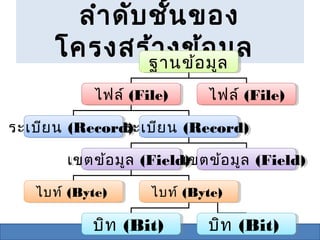 ลำา ดับ ชั้น ของ
      โครงสร้ฐานข้ออ ล ล
                า งข้อมู มู
                ฐานข้ มูล
            ไฟล์ (File)
            ไฟล์ (File)     ไฟล์ (File)
                            ไฟล์ (File)

ระเบีย น (Record)
ระเบีย น (Record) ย น (Record)
                ระเบี ย น (Record)
                ระเบี

        เขตข้อ มูล (Field)
                         เขตข้อ มูล (Field)
        เขตข้อ มูล (Field)
                         เขตข้อ มูล (Field)

   ไบท์ (Byte)
   ไบท์ (Byte)      ไบท์ (Byte)
                    ไบท์ (Byte)

           บิท (Bit)
           บิท (Bit)        บิท (Bit)
                            บิท (Bit)
 