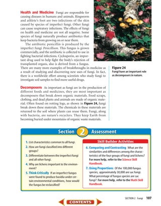 Health and Medicine Fungi are responsible for
causing diseases in humans and animals. Ringworm
and athlete’s foot are two infections of the skin
caused by species of imperfect fungi. Other fungi
can cause respiratory infections. The effects of fungi
on health and medicine are not all negative. Some
species of fungi naturally produce antibiotics that
keep bacteria from growing on or near them.
    The antibiotic penicillin is produced by the
imperfect fungi Penicillium. This fungus is grown
commercially, and the antibiotic is collected to use in
fighting bacterial infections. Cyclosporin, an impor-
tant drug used to help fight the body’s rejection of
transplanted organs, also is derived from a fungus.
There are many more examples of breakthroughs in medicine as             Figure 24
a result of studying and discovering new uses of fungi. In fact,         Fungi have an important role
there is a worldwide effort among scientists who study fungi to          as decomposers in nature.
investigate soil samples to find more useful drugs.

Decomposers As important as fungi are in the production of
different foods and medicines, they are most important as
decomposers that break down organic materials. Food scraps,
clothing, and dead plants and animals are made of organic mate-
rial. Often found on rotting logs, as shown in Figure 24, fungi
break down these materials. The chemicals in these materials are
returned to the soil where plants can reuse them. Fungi, along
with bacteria, are nature’s recyclers. They keep Earth from
becoming buried under mountains of organic waste materials.


                               Section                Assessment
   1. List characteristics common to all fungi.
   2. How are fungi classified into different     6. Comparing and Contrasting What are the
      groups?                                        similarities and differences among the charac-
   3. Differentiate between the imperfect fungi      teristics of the four groups of fungi and lichens?
      and all other fungi.                           For more help, refer to the Science Skill
   4. Why are lichens important to the environ-      Handbook.
      ment?                                       7. Using Proportions Of the 100,000 fungus
   5. Think Critically If an imperfect fungus        species, approximately 30,000 are sac fungi.
      were found to produce basidia under cer-       What percentage of fungus species are sac
      tain environmental conditions, how would       fungi? For more help, refer to the Math Skill
      the fungus be reclassified?                    Handbook.



                                                                                     SECTION 2 Fungi      107
 