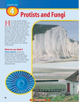 4 Protists and Fungi
H
          ow many protists helped
          form this limestone cliff, and
          how did they do it? Did you
know that fungi help to make hot dog
buns? Some fungi can be seen only
through a microscope but others are
more than 100 m long. In this chap-
ter, you will learn what characteristics
separate protists and fungi from
bacteria, plants, and animals. You
also will learn why protists and
fungi are important to you and the
environment.

What do you think?
Science Journal Look at the
picture below with a classmate.
Discuss what you think this might
be. Here’s a hint: This organism is
visible only under a microscope. Write
your answer or best guess in your
Science Journal.




86
 