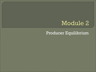 Producer Equilibrium
 