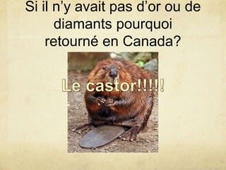 Si il n’y avait pas d’or ou de
diamants pourquoi
retourné en Canada?

 