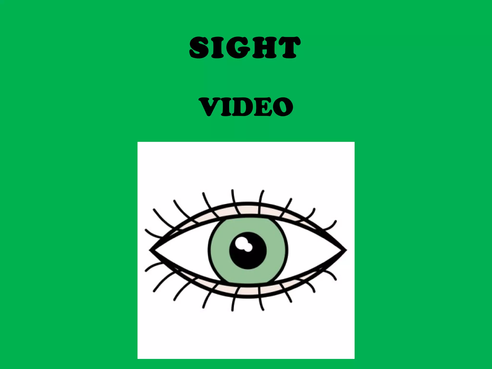SIGHT
VIDEO
 
