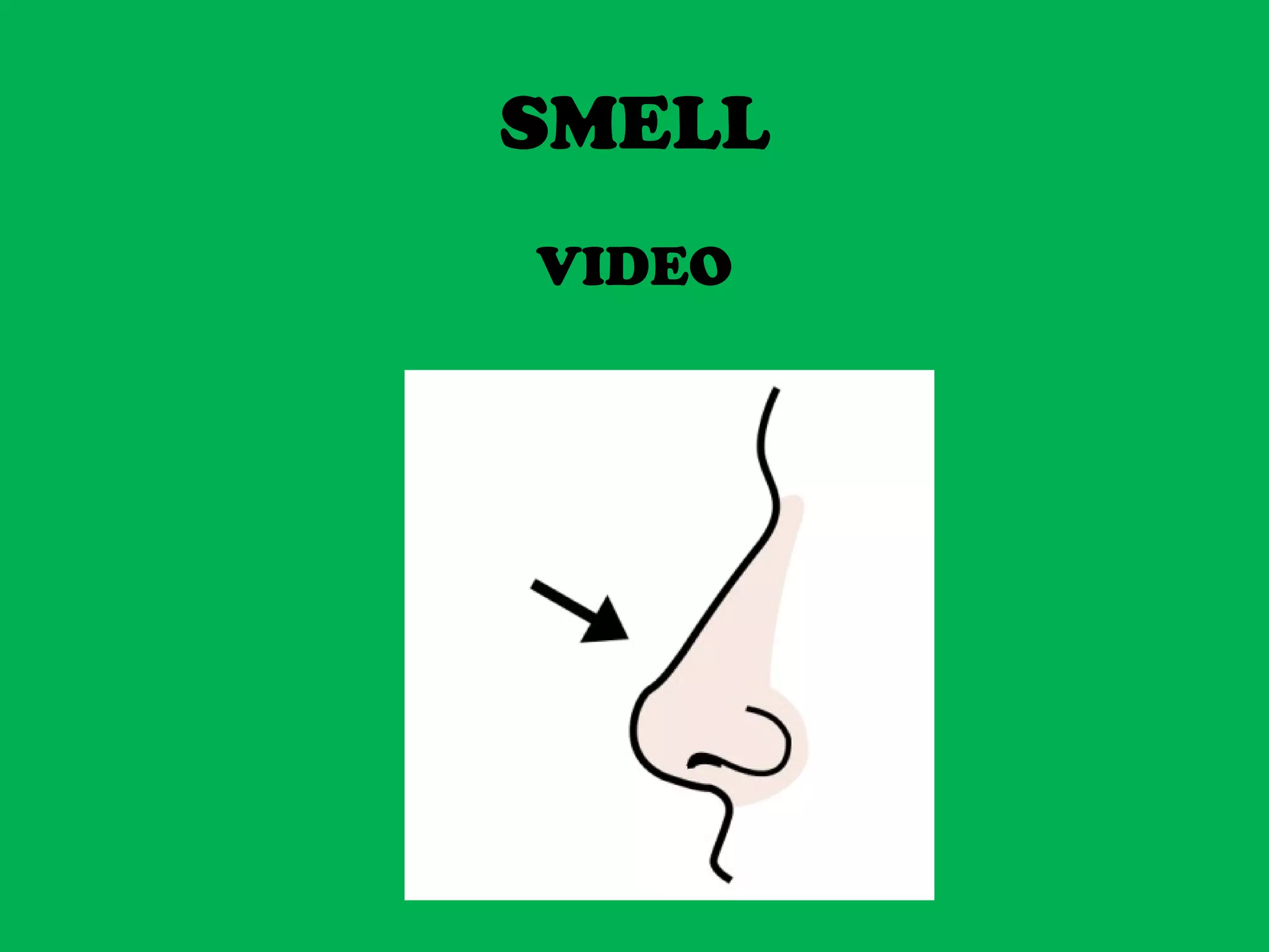 SMELL
VIDEO
 