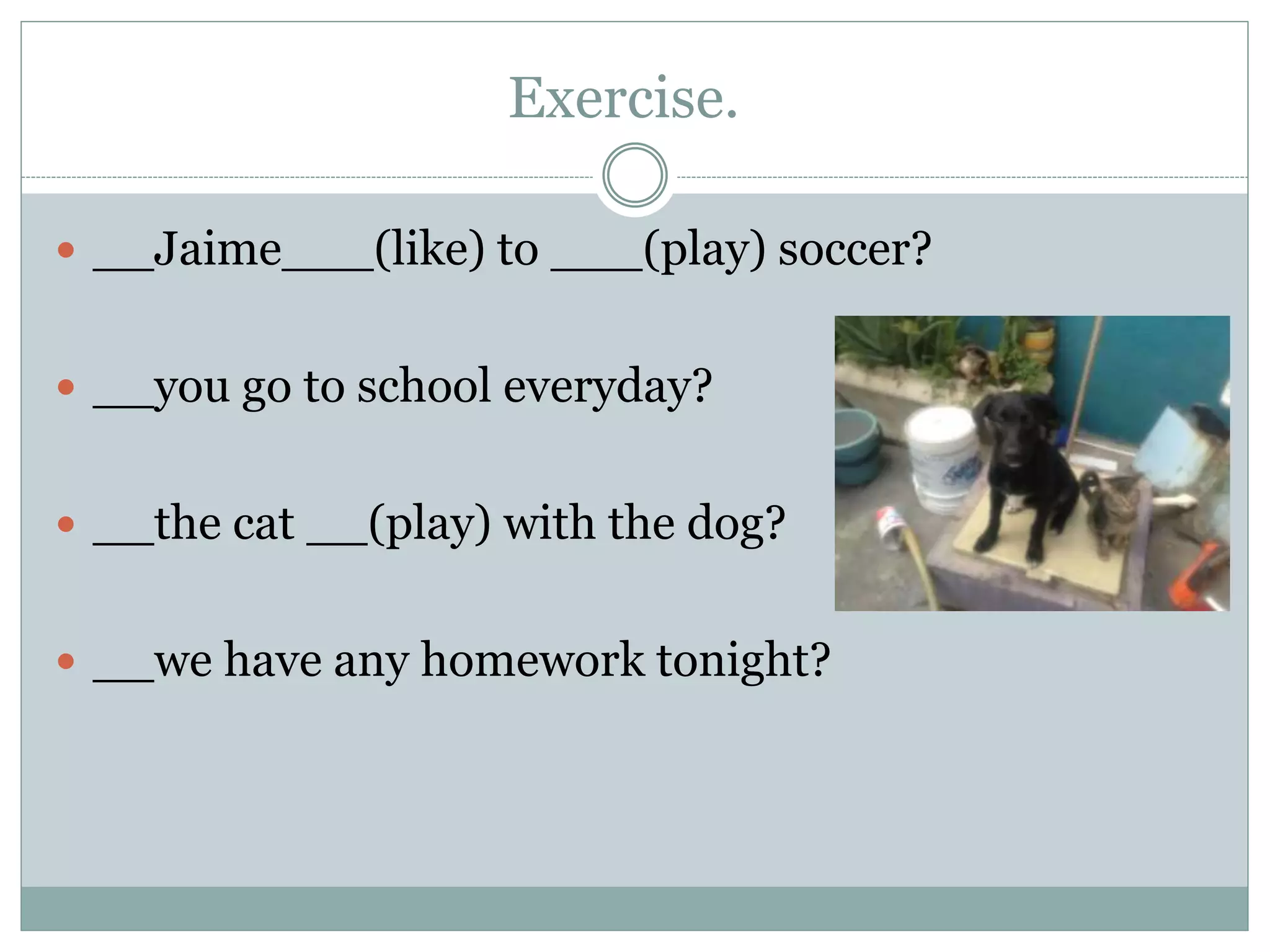 Exercise.
 __Jaime___(like) to ___(play) soccer?
 __you go to school everyday?
 __the cat __(play) with the dog?
 __we have any homework tonight?
 