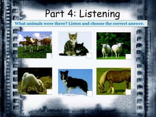 Part 4: Listening
What animals were there? Listen and choose the correct answer.
 