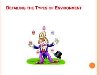 DETAILING THE TYPES OF ENVIRONMENT
 