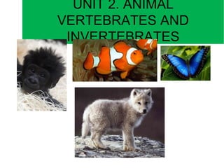 UNIT 2. ANIMAL
VERTEBRATES AND
INVERTEBRATES
 