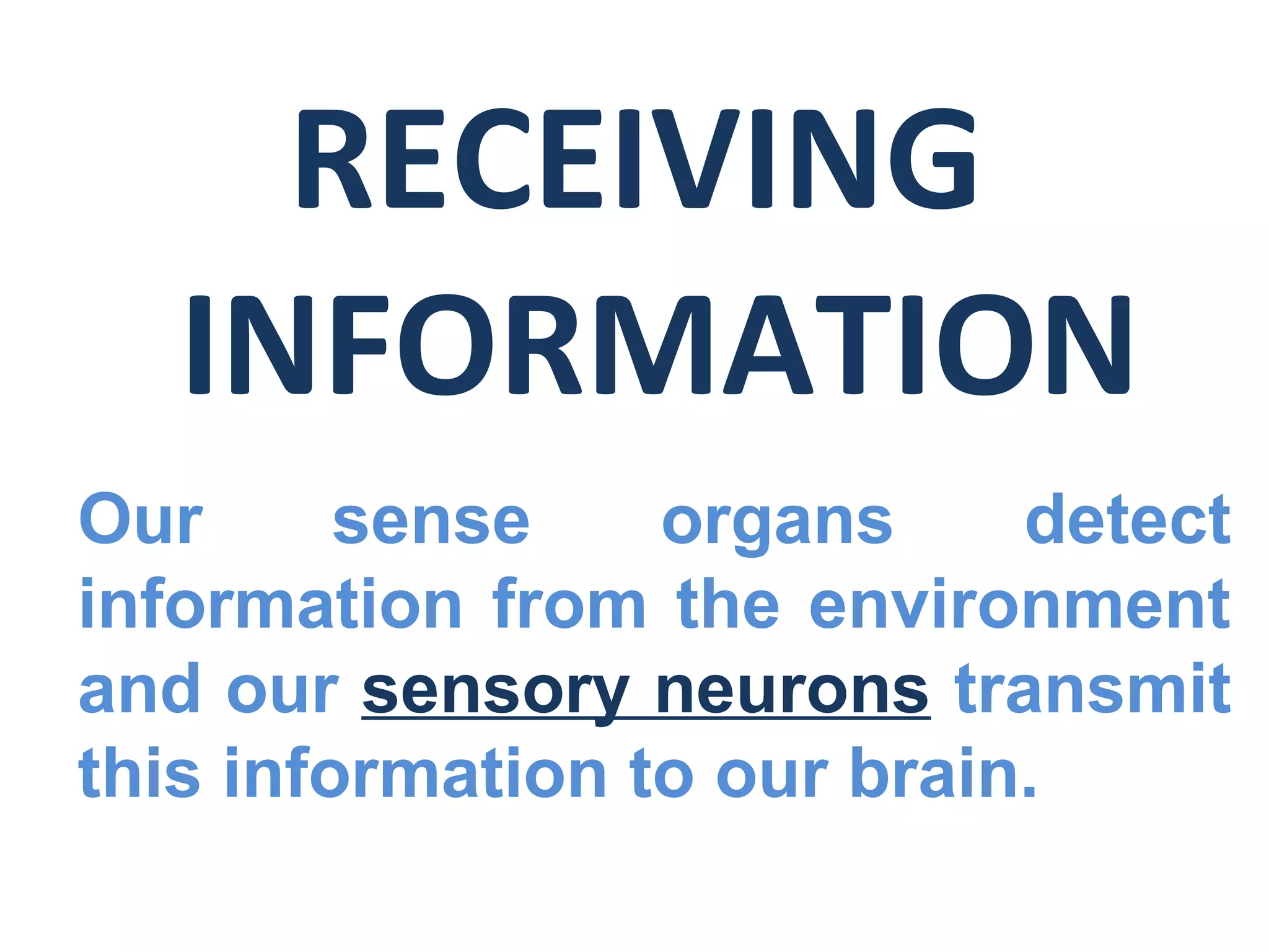 RECEIVING
INFORMATION
Our sense organs detect
information from the environment
and our sensory neurons transmit
this information to our brain.
 