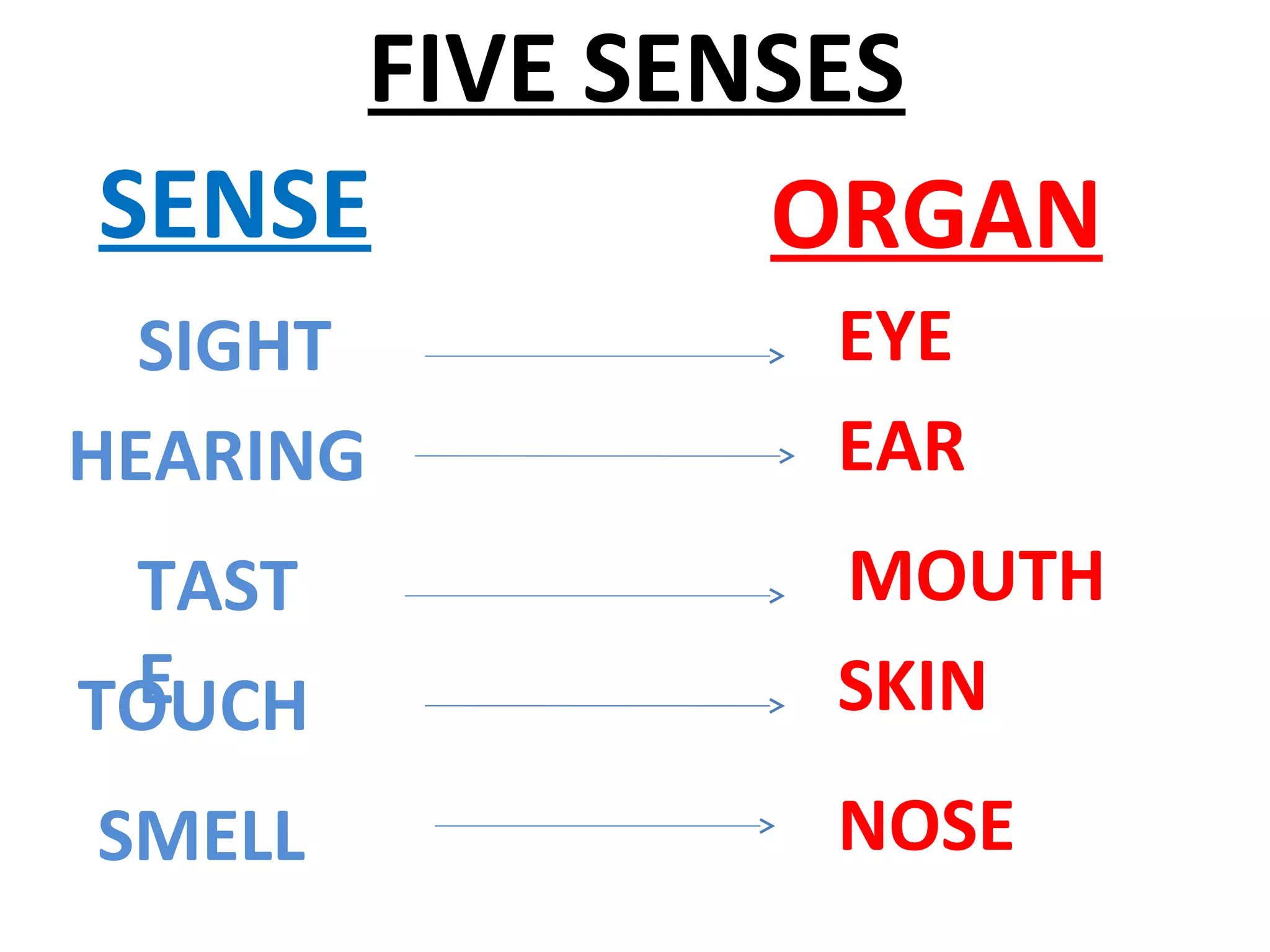 FIVE SENSES
SIGHT
HEARING
TAST
ETOUCH
SMELL
SKIN
MOUTH
NOSE
EAR
EYE
SENSE ORGAN
 