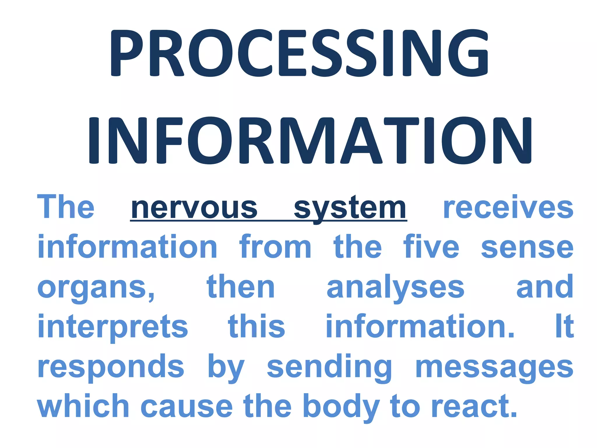 PROCESSING
INFORMATION
The nervous system receives
information from the five sense
organs, then analyses and
interprets this information. It
responds by sending messages
which cause the body to react.
 