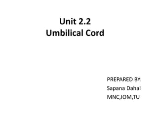 Unit 2.2
Umbilical Cord
PREPARED BY:
Sapana Dahal
MNC,IOM,TU
 
