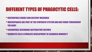 DIFFERENT TYPES OF PHAGOCYTIC CELLS:
•NEUTROPHILS ENGULF AND DESTROY MICROBES
•MACROPHAGES ARE PART OF THE LYMPHATIC SYSTEM AND ARE FOUND THROUGHOUT
THE BODY
•EOSINOPHILS DISCHARGE DESTRUCTIVE ENZYMES
•DENDRITIC CELLS STIMULATE DEVELOPMENT OF ACQUIRED IMMUNITY
 