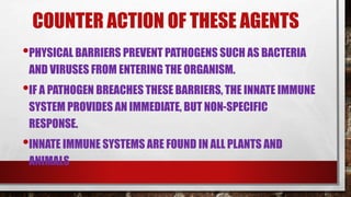 COUNTER ACTION OF THESE AGENTS
•PHYSICAL BARRIERS PREVENT PATHOGENS SUCH AS BACTERIA
AND VIRUSES FROM ENTERING THE ORGANISM.
•IF A PATHOGEN BREACHES THESE BARRIERS, THE INNATE IMMUNE
SYSTEM PROVIDES AN IMMEDIATE, BUT NON-SPECIFIC
RESPONSE.
•INNATE IMMUNE SYSTEMS ARE FOUND IN ALL PLANTS AND
ANIMALS
 