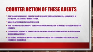 COUNTER ACTION OF THESE AGENTS
• IF PATHOGENS SUCCESSFULLY EVADE THE INNATE RESPONSE, VERTEBRATES POSSESS A SECOND LAYER OF
PROTECTION, THE ACQUIRED IMMUNE SYSTEM,
• WHICH IS ACTIVATED BY THE INNATE RESPONSE.
• HERE, THE IMMUNE SYSTEM ADAPTS ITS RESPONSE DURING AN INFECTION TO IMPROVE ITS RECOGNITION OF THE
PATHOGEN.
• THIS IMPROVED RESPONSE IS THEN RETAINED AFTER THE PATHOGEN HAS BEEN ELIMINATED, IN THE FORM OF AN
IMMUNOLOGICAL MEMORY,
• AND ALLOWS THE ACQUIRED IMMUNE SYSTEM TO MOUNT FASTER AND STRONGER ATTACKS EACH TIME THIS
PATHOGEN IS ENCOUNTERED
 