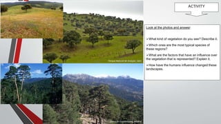 ACTIVITY
Parque Natural de Andújar, Jaén
Sierra de Guadarrama, Madrid
Look at the photos and answer:
What kind of vegetation do you see? Describe it.
Which ones are the most typical species of
these regions?
What are the factors that have an influence over
the vegetation that is represented? Explain it.
How have the humans influence changed these
landscapes.
 