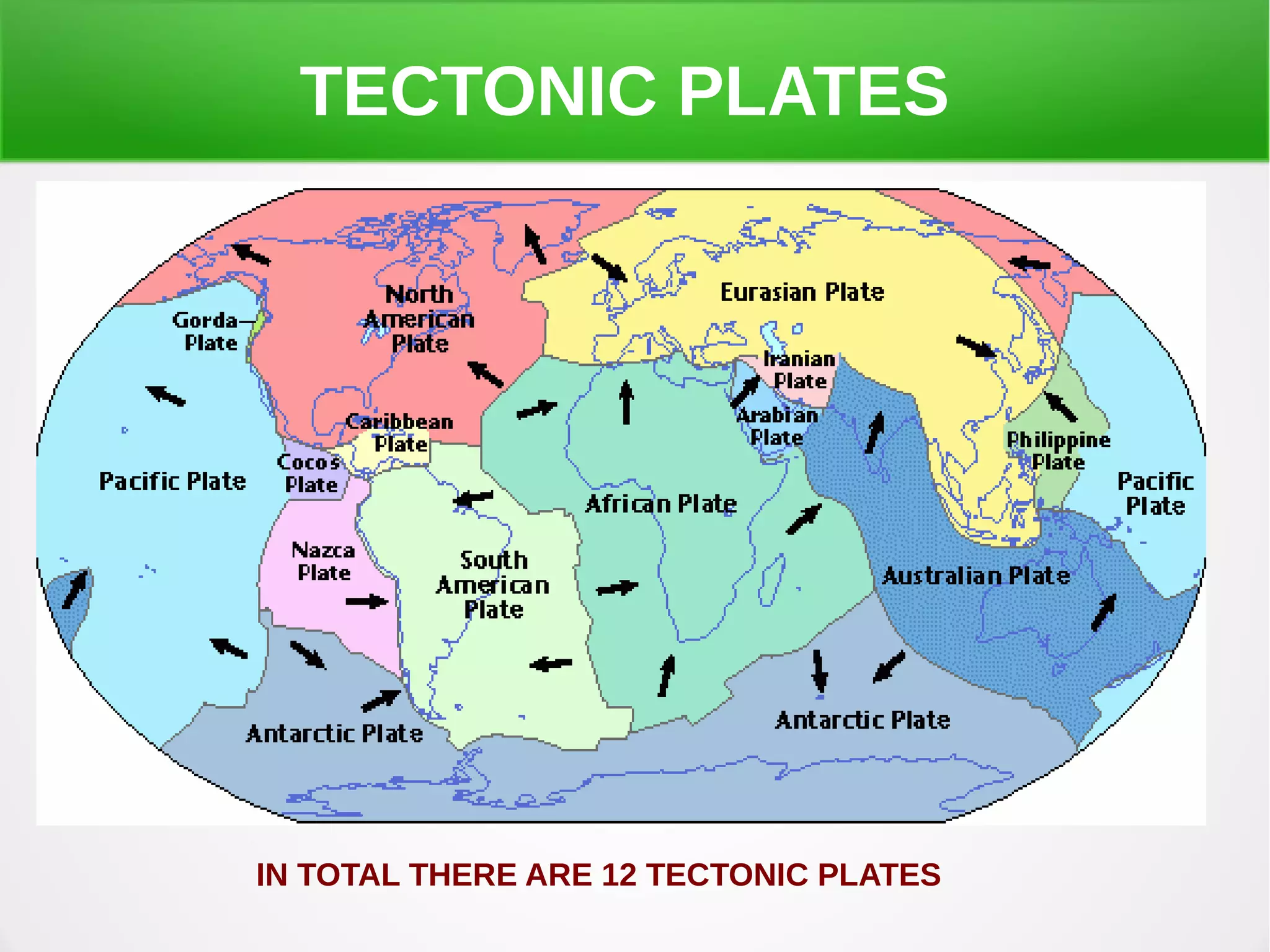 TECTONIC PLATES
IN TOTAL THERE ARE 12 TECTONIC PLATES
 