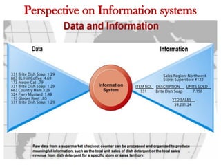 Perspective on Information systems
 