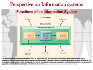 Perspective on Information systems
 