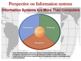 Perspective on Information systems
 
