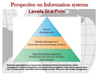 Perspective on Information systems
 