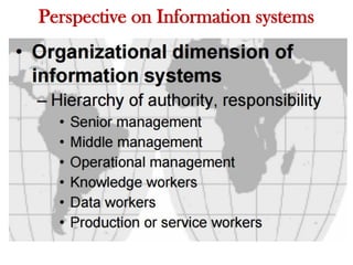 Perspective on Information systems
 
