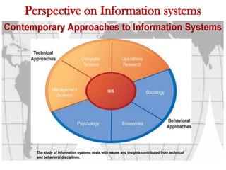 Perspective on Information systems
 