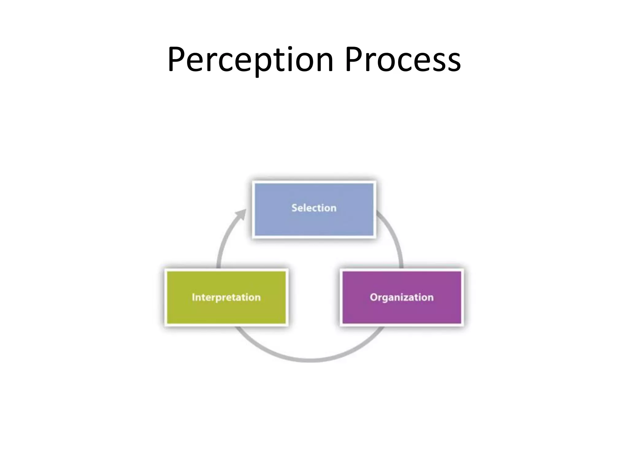 Perception Process
 