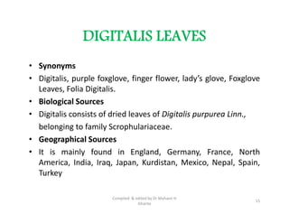 DIGITALIS LEAVES
• Synonyms
• Digitalis, purple foxglove, finger flower, lady’s glove, Foxglove
Leaves, Folia Digitalis.
• Biological Sources
• Digitalis consists of dried leaves of Digitalis purpurea Linn.,
belonging to family Scrophulariaceae.
• Geographical Sources
• It is mainly found in England, Germany, France, North
America, India, Iraq, Japan, Kurdistan, Mexico, Nepal, Spain,
Turkey
• Synonyms
• Digitalis, purple foxglove, finger flower, lady’s glove, Foxglove
Leaves, Folia Digitalis.
• Biological Sources
• Digitalis consists of dried leaves of Digitalis purpurea Linn.,
belonging to family Scrophulariaceae.
• Geographical Sources
• It is mainly found in England, Germany, France, North
America, India, Iraq, Japan, Kurdistan, Mexico, Nepal, Spain,
Turkey
15
Compiled & edited by Dr Mahavir H
Ghante
 
