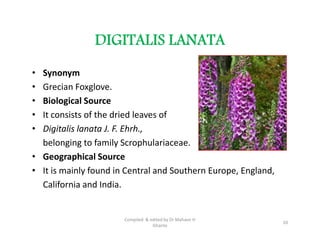 DIGITALIS LANATA
• Synonym
• Grecian Foxglove.
• Biological Source
• It consists of the dried leaves of
• Digitalis lanata J. F. Ehrh.,
belonging to family Scrophulariaceae.
• Geographical Source
• It is mainly found in Central and Southern Europe, England,
California and India.
• Synonym
• Grecian Foxglove.
• Biological Source
• It consists of the dried leaves of
• Digitalis lanata J. F. Ehrh.,
belonging to family Scrophulariaceae.
• Geographical Source
• It is mainly found in Central and Southern Europe, England,
California and India.
20
Compiled & edited by Dr Mahavir H
Ghante
 