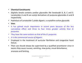 • Chemical Constituents
• Digitalis lanata contains cardiac glycosides like lanatoside A, B, C and E.
Lanatosides A and B are acetyl derivatives of purpurea glycosides A and B
respectively.
• Hydrolysis of Lanatoside C yields digoxin, a crystalline active glycoside.
• Uses
• It has gained much importance in recent years because of the less
cumulative effect and three to four times greater activity than D.
purpurea.
• They have the same actions as that of the D. purpurea.
• It is the commercial source of digoxin.
• Employed in the treatment of auricular fibrillation and congestive heart
failure.
• Their use should always be supervised by a qualified practitioner since in
excess they cause nausea, vomiting, slow pulse, visual disturbance,
anorexia and fainting.
• Chemical Constituents
• Digitalis lanata contains cardiac glycosides like lanatoside A, B, C and E.
Lanatosides A and B are acetyl derivatives of purpurea glycosides A and B
respectively.
• Hydrolysis of Lanatoside C yields digoxin, a crystalline active glycoside.
• Uses
• It has gained much importance in recent years because of the less
cumulative effect and three to four times greater activity than D.
purpurea.
• They have the same actions as that of the D. purpurea.
• It is the commercial source of digoxin.
• Employed in the treatment of auricular fibrillation and congestive heart
failure.
• Their use should always be supervised by a qualified practitioner since in
excess they cause nausea, vomiting, slow pulse, visual disturbance,
anorexia and fainting.
21
Compiled & edited by Dr Mahavir H
Ghante
 