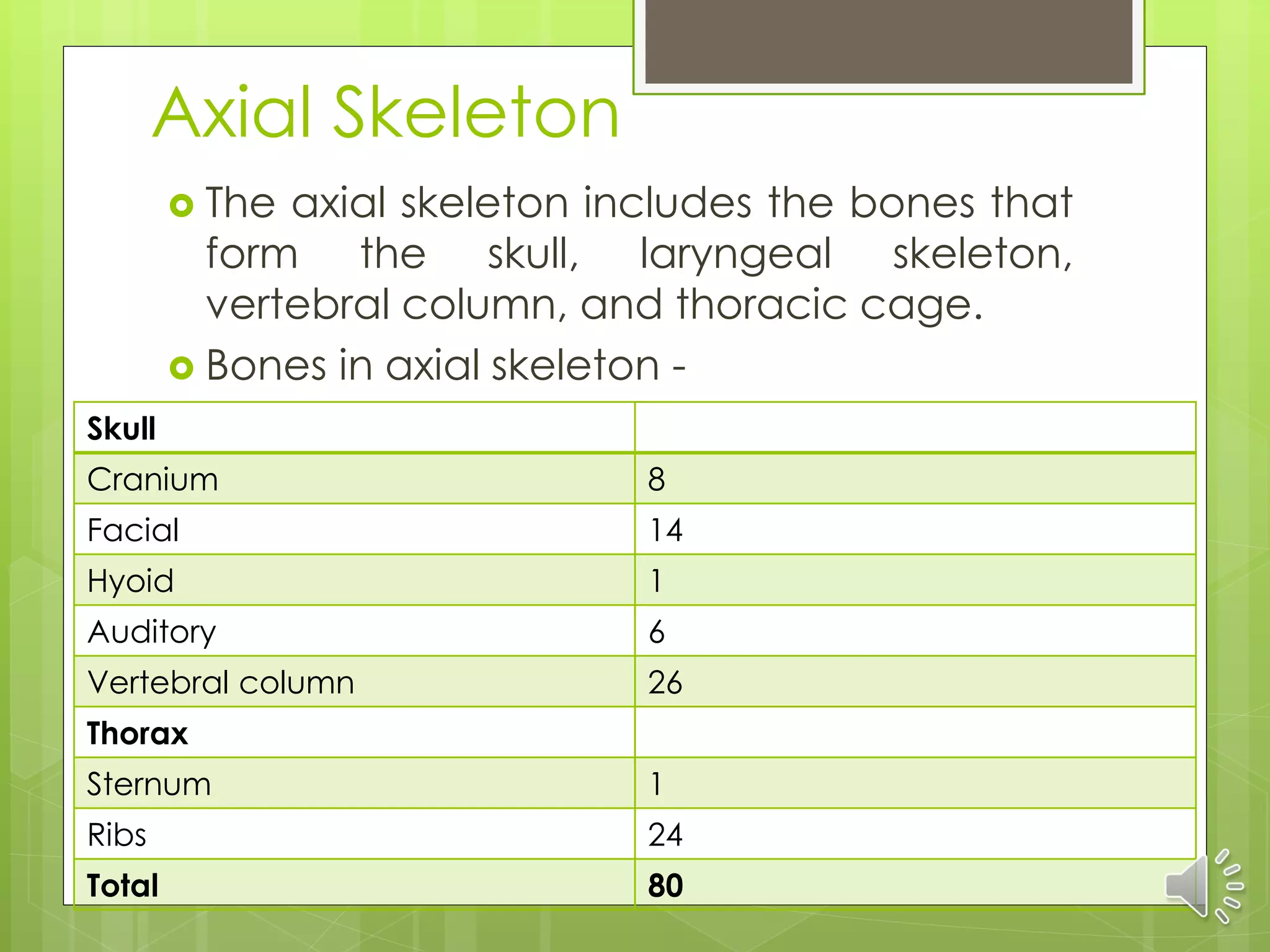 Axial Skeleton
 The axial skeleton includes the bones that
form the skull, laryngeal skeleton,
vertebral column, and thoracic cage.
 Bones in axial skeleton -
Skull
Cranium 8
Facial 14
Hyoid 1
Auditory 6
Vertebral column 26
Thorax
Sternum 1
Ribs 24
Total 80
 