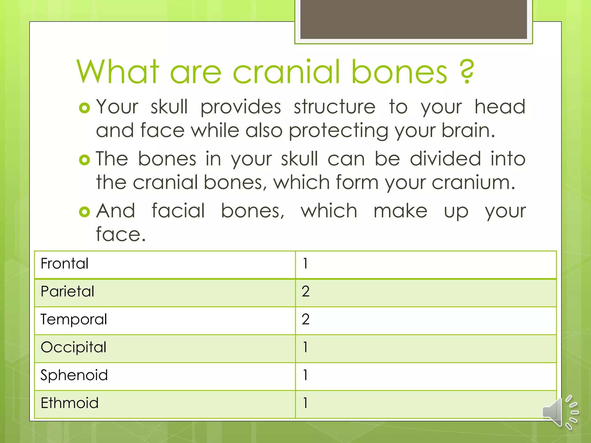 What are cranial bones ?
 Your skull provides structure to your head
and face while also protecting your brain.
 The bones in your skull can be divided into
the cranial bones, which form your cranium.
 And facial bones, which make up your
face.
Frontal 1
Parietal 2
Temporal 2
Occipital 1
Sphenoid 1
Ethmoid 1
 