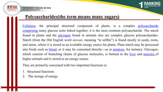 Cellulose, the principal structural component of plants, is a complex polysaccharide
comprising many glucose units linked together; it is the most common polysaccharide. The starch
found in plants and the glycogen found in animals also are complex glucose polysaccharides.
Starch (from the Old English word stercan, meaning “to stiffen”) is found mostly in seeds, roots,
and stems, where it is stored as an available energy source for plants. Plant starch may be processed
into foods such as bread, or it may be consumed directly—as in potatoes, for instance. Glycogen,
which consists of branching chains of glucose molecules, is formed in the liver and muscles of
higher animals and is stored as an energy source.
They are primarily concerned with two important functions ie.
1. Structural functions
2. The storage of energy.
Polysaccharides(the term means many sugars)
 
