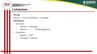 Carbohydrate
Storage :
Glucose → In Liver & Muscle → Glycogen
Metabolism :
• Anabolism
1. Glucose → Glycogen
2. Glucose → Fat (Lipogenesis)
• Catabolism
1. Glucose →ATP
2. Glycogen → Glucose.
 