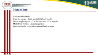 Metabolism
Glucose in the Body
Used for energy – fuels most of the body’s cells
Stored as glycogen – 1/3 in the liver and 2/3 in muscles
Made from protein – gluconeogenesis
Converted to fat – when in excess of body’s needs
 