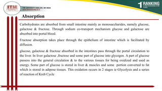 Absorption
Carbohydrates are absorbed from small intestine mainly as monosaccharides, namely glucose,
galactose & fructose. Through sodium co-transport mechanism glucose and galactose are
absorbed into portal blood.
Fructose absorption takes place through the epithelium of intestine which is facilitated by
diffusion.
glucose, galactose & fructose absorbed in the intestines pass through the portal circulation to
the liver. In liver galactose ,fructose and some part of glucose into glycogen. A part of glucose
passess into the general circulation & to the various tissues for being oxidized and used as
energy. Some part of glucose is stored in liver & muscles and some portion converted to fat
which is stored in adipose tissues. This oxidation occurs in 2 stages ie Glycolysis and a series
of reaction of Kreb Cycle
 