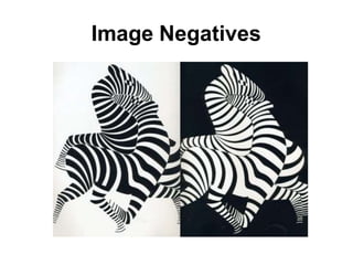 Image Negatives
 