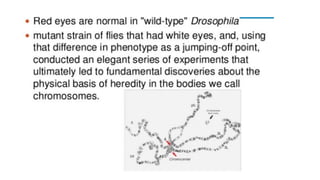 Unit 2 is based on animal model on research