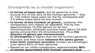Unit 2 is based on animal model on research