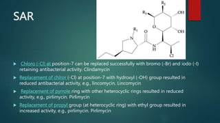 SAR
 Chloro (-Cl) at position-7 can be replaced successfully with bromo (-Br) and iodo (-I)
retaining antibacterial activity. Clindamycin
 Replacement of chlror (-Cl) at position-7 with hydroxyl (-OH) group resulted in
reduced antibacterial activity, e.g., lincomycin. Lincomycin
 Replacement of pyrrole ring with other heterocyclic rings resulted in reduced
activity, e.g., pirlimycin. Pirlimycin
 Replacement of propyl group (at heterocyclic ring) with ethyl group resulted in
increased activity, e.g., pirlimycin. Pirlimycin
 