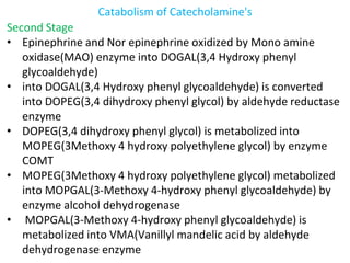 Catabolism of Catecholamine's
Second Stage
• Epinephrine and Nor epinephrine oxidized by Mono amine
oxidase(MAO) enzyme into DOGAL(3,4 Hydroxy phenyl
glycoaldehyde)
• into DOGAL(3,4 Hydroxy phenyl glycoaldehyde) is converted
into DOPEG(3,4 dihydroxy phenyl glycol) by aldehyde reductase
enzyme
• DOPEG(3,4 dihydroxy phenyl glycol) is metabolized into
MOPEG(3Methoxy 4 hydroxy polyethylene glycol) by enzyme
COMT
• MOPEG(3Methoxy 4 hydroxy polyethylene glycol) metabolized
into MOPGAL(3-Methoxy 4-hydroxy phenyl glycoaldehyde) by
enzyme alcohol dehydrogenase
• MOPGAL(3-Methoxy 4-hydroxy phenyl glycoaldehyde) is
metabolized into VMA(Vanillyl mandelic acid by aldehyde
dehydrogenase enzyme
 