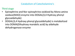 Catabolism of Catecholamine's
Third stage
• Epinephrine and Nor epinephrine oxidized by Mono amine
oxidase(MAO) enzyme into DOGAL(3,4 Hydroxy phenyl
glycoaldehyde)
• DOGAL(3,4 Hydroxy phenyl glycoaldehyde) is metabolized
into DOMA(Dihydroxy mandelic acid) by aldehyde
dehydrogenase enzyme
 