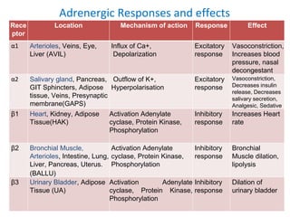 Adrenergic Responses and effects
Rece
ptor
Location Mechanism of action Response Effect
α1 Arterioles, Veins, Eye,
Liver (AVIL)
Influx of Ca+,
Depolarization
Excitatory
response
Vasoconstriction,
Increases blood
pressure, nasal
decongestant
α2 Salivary gland, Pancreas,
GIT Sphincters, Adipose
tissue, Veins, Presynaptic
membrane(GAPS)
Outflow of K+,
Hyperpolarisation
Excitatory
response
Vasoconstriction,
Decreases insulin
release, Decreases
salivary secretion,
Analgesic, Sedative
β1 Heart, Kidney, Adipose
Tissue(HAK)
Activation Adenylate
cyclase, Protein Kinase,
Phosphorylation
Inhibitory
response
Increases Heart
rate
β2 Bronchial Muscle,
Arterioles, Intestine, Lung,
Liver, Pancreas, Uterus.
(BALLU)
Activation Adenylate
cyclase, Protein Kinase,
Phosphorylation
Inhibitory
response
Bronchial
Muscle dilation,
lipolysis
β3 Urinary Bladder, Adipose
Tissue (UA)
Activation Adenylate
cyclase, Protein Kinase,
Phosphorylation
Inhibitory
response
Dilation of
urinary bladder
 