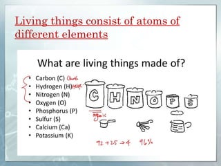 Living things consist of atoms of
different elements
 