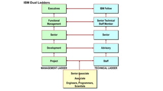 Fellow Ladder Executive Compensation and special group compensation | PPTX
