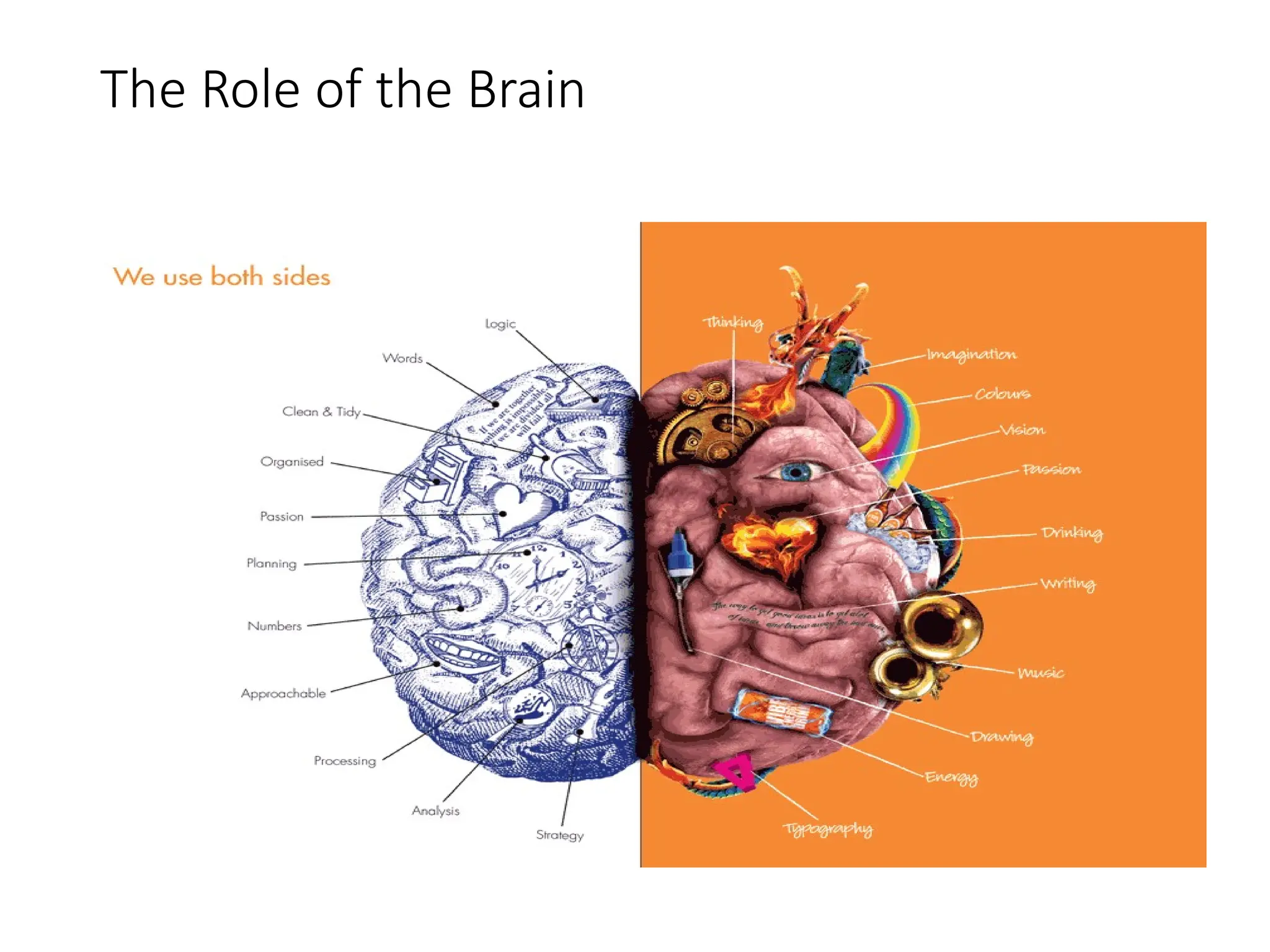 The Role of the Brain
 
