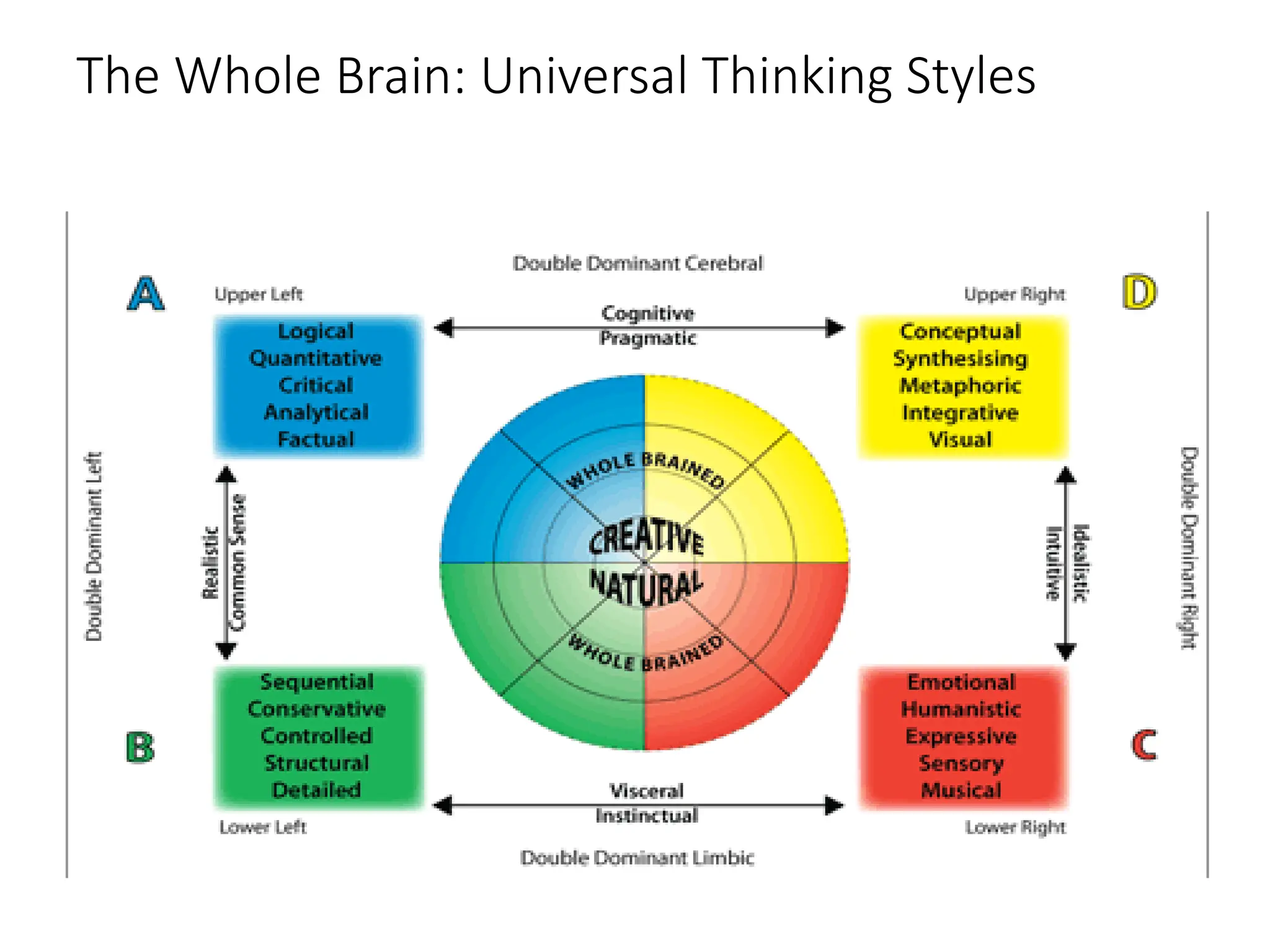 The Whole Brain: Universal Thinking Styles
 