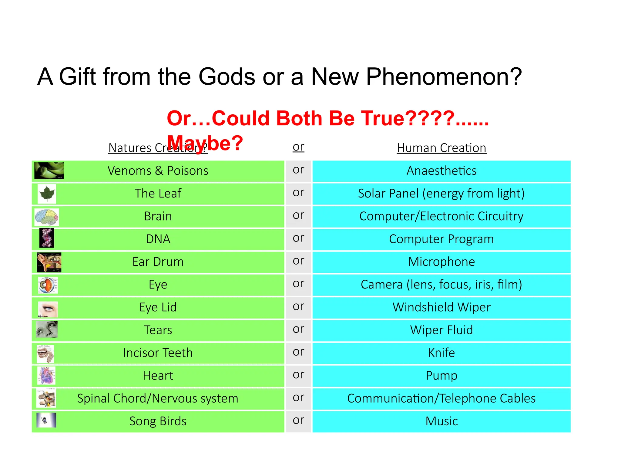 Natures Creation? or Human Creation
Venoms & Poisons or Anaesthetics
The Leaf or Solar Panel (energy from light)
Brain or Computer/Electronic Circuitry
DNA or Computer Program
Ear Drum or Microphone
Eye or Camera (lens, focus, iris, film)
Eye Lid or Windshield Wiper
Tears or Wiper Fluid
Incisor Teeth or Knife
Heart or Pump
Spinal Chord/Nervous system or Communication/Telephone Cables
Song Birds or Music
A Gift from the Gods or a New Phenomenon?
Or…Could Both Be True????......
Maybe?
 
