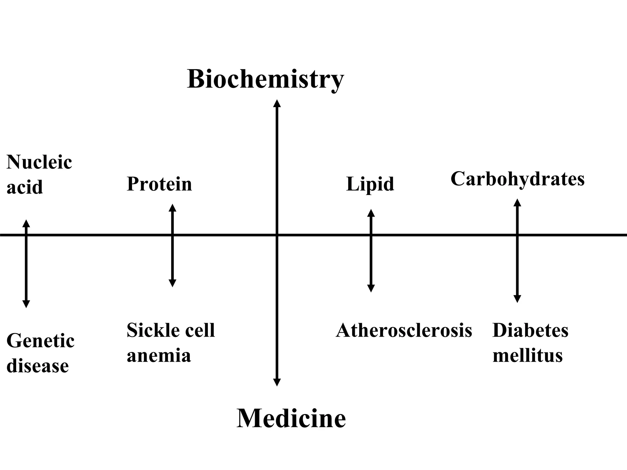 Biochemistry
Nucleic
acid Protein Lipid Carbohydrates
Genetic
disease
Sickle cell
anemia
Medicine
Atherosclerosis Diabetes
mellitus
 
